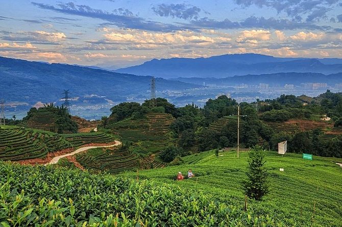 Flexible Hangzhou Private Day Tour with Lunch - Leifeng Pagoda and the view over Hangzhou