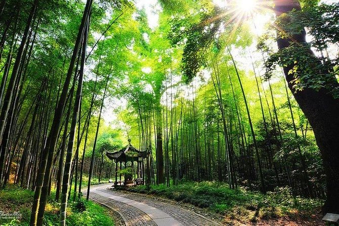 Flexible Hangzhou Private Day Tour with Lunch - Hefang Street for old Hangzhou flavor