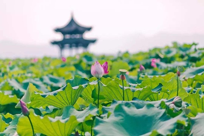 Flexible Hangzhou Private Tour from Shanghai by Bullet Train - Why Hangzhou makes a good escape from Shanghai
