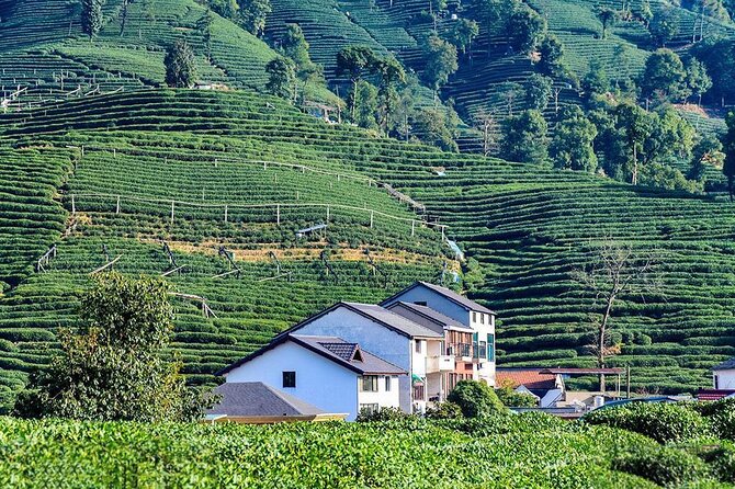 Flexible Hangzhou Private Tour from Shanghai by Bullet Train - West Lake gives the day its scenic heart