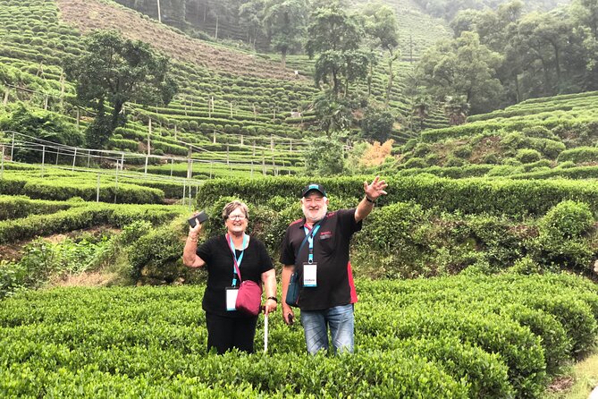 Flexible Hangzhou Private Tour from Shanghai by Bullet Train - A private guide changes the pace and quality