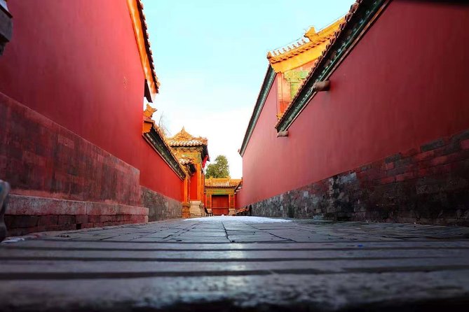 Forbidden City Private Walking Tour with Optional Sights - Choosing the Temple of Heaven add-on