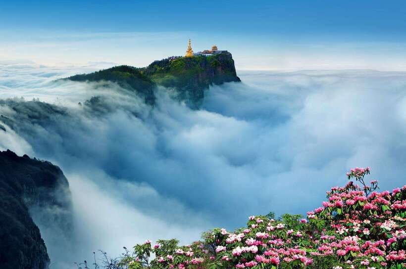 From Chengdu: Mount Emei Day Trip with Golden Summit Visit - What the 10-hour schedule feels like