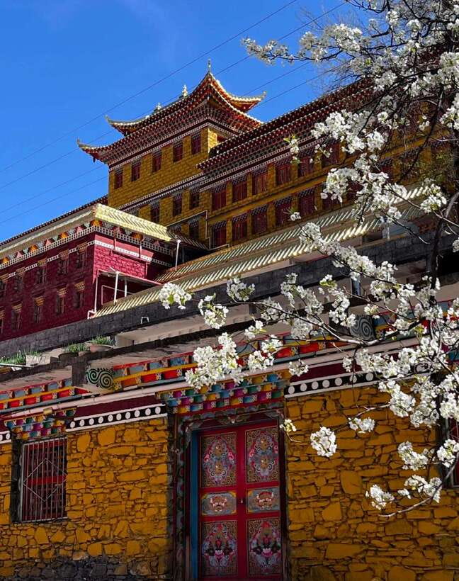 From Chengdu: Tibetan Village Live as a Tibetan Day Tour - Traditional clothes, photos, and cultural boundaries