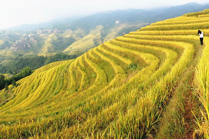 From Guilin/Yangshuo: Longji Rice Terraces and Ethnic Minority Village Day Tour - Why Longji is worth the long ride from Guilin