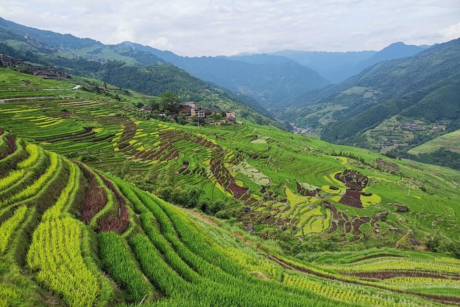From Guilin/Yangshuo: Longji Rice Terraces and Ethnic Minority Village Day Tour - What the $168 price really covers