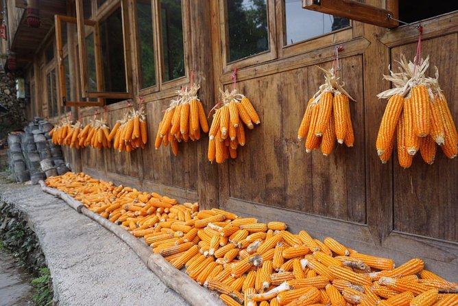 From Guilin/Yangshuo: Longji Rice Terraces and Ethnic Minority Village Day Tour - Weather, clothing, and the best attitude