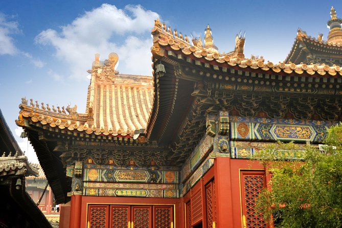 Full-Day Beijing City Tour: Hutongs, Lama Temple and Panda House - Olympic Park and the 45-minute photo stop