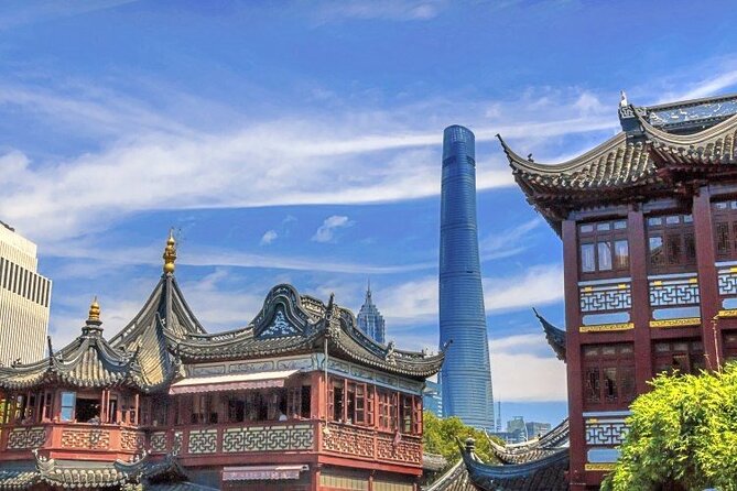 Full-Day Private Guided Tour of Shanghai - Choosing between a private car and public transport
