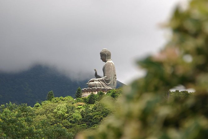 Full-Day Private Tour of Lantau Island including Big Buddha and Tai O - Ngong Ping 360 opens the day with big views