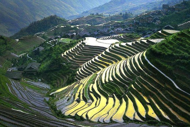 Full-day Tour: Longji Rice Terraces & Minority Villages - Why Longji Rice Terraces Are Worth the Long Ride