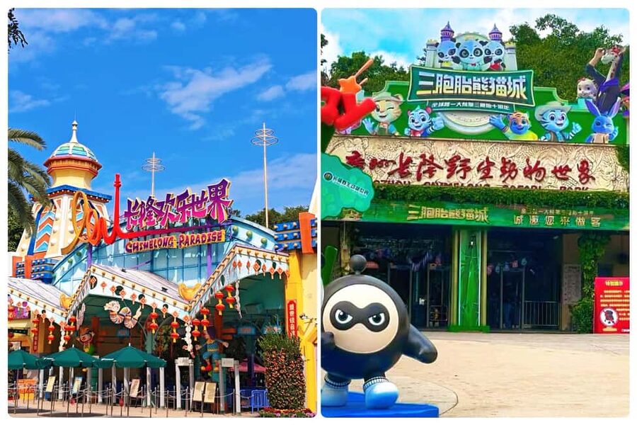 Guangzhou Chimelong: Safari Park/Paradise(Optional Day Tour) - Choosing Between Coasters and Pandas