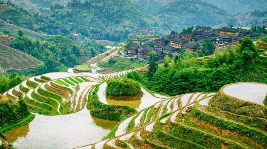 Guilin: 3-Day Private Tour with Longsheng&Cruise to Yangshuo - Day 3: The Li River from Guilin to Yangshuo