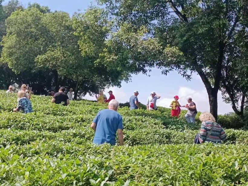 Guilin: City Tour with Elephant Hill & Ming Tea Tasting - Key points at a glance