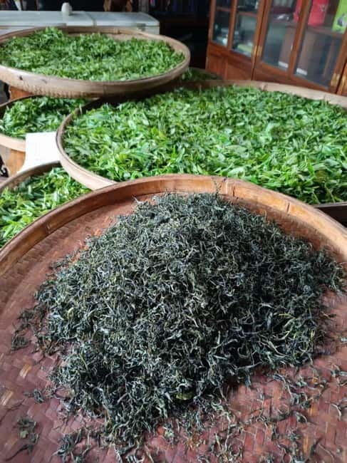 Guilin: City Tour with Elephant Hill & Ming Tea Tasting - Why this four-hour Guilin pairing works