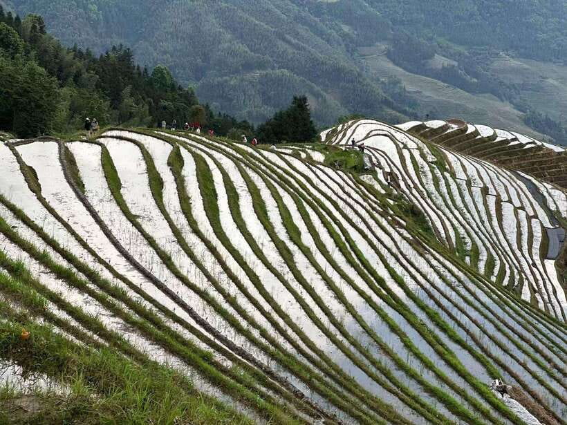 Guilin: Day tour of Longji Rice Terraces and Yangshuo - The long road between the highlights