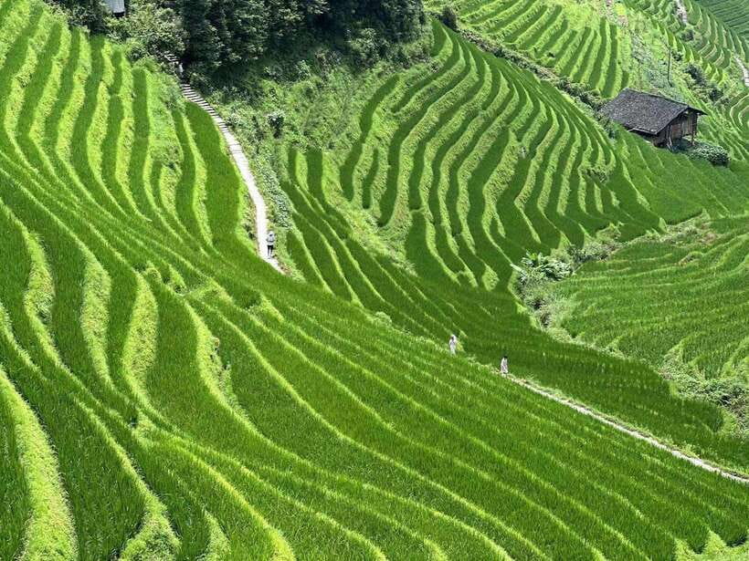 Guilin: Day tour of Longji Rice Terraces and Yangshuo - Starting with Yangshuo’s Li River country