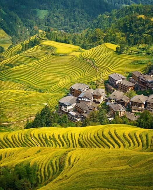 Guilin Longji: Rice Terrace with Oil-Tea Demo & Zhuang Lunch - Why Longji is worth the two-hour drive from Guilin