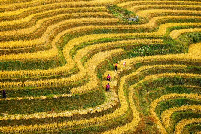Guilin: Longji Rice Terraces and Villages Private Day Tour - Why Longji deserves a full day from Guilin