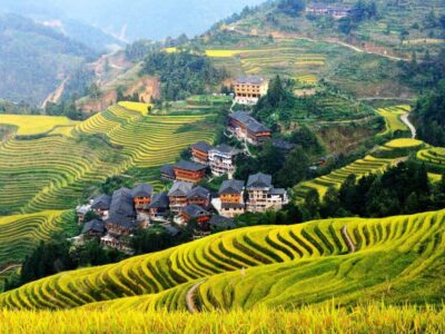 Longji Rice Terraces& Long Hair Village Private Tour