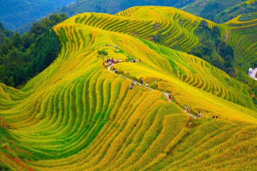 Guilin Longji Terraces Private Day Tour - Huangluo village and the Yao long hair performance