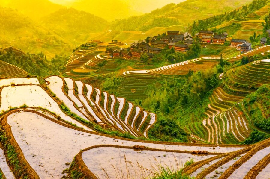 Guilin Longji Terraces Private Day Tour - Four hours among the Dragon’s Backbone terraces