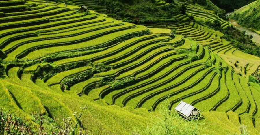 Guilin Longji Terraces Private Day Tour - The 8am pickup and winding road to Longji