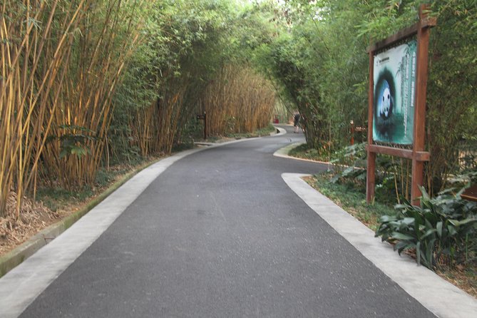 Half-Day Chengdu Panda Research Base Private Tour - Why this four-hour Chengdu panda visit works well
