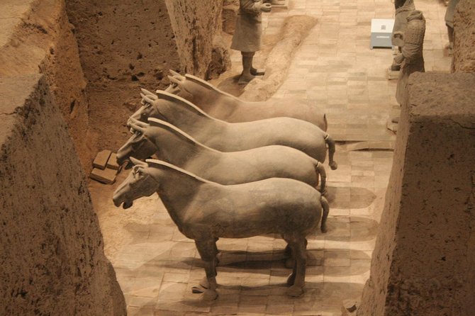 Half-Day Mini Group Xian Tour to Terracotta Warriors Museum - The guide can make or break a short visit