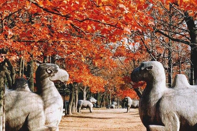 Half-Day Private Customized Nanjing City Tour - Meeting your guide at 9:00 a.m. or 1:00 p.m.