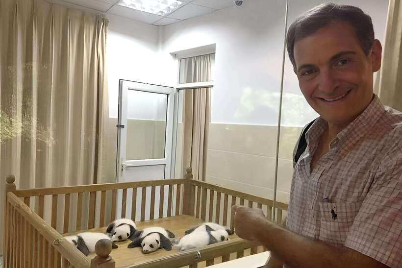 Half day small group tour to Chengdu Panda Breeding Center - Why this half-day panda trip works well