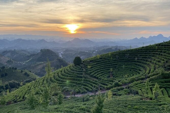 Half-day Tour: Largest Tea Plantation & Amazing Xianggong Hill - Why this half-day works so well in Yangshuo
