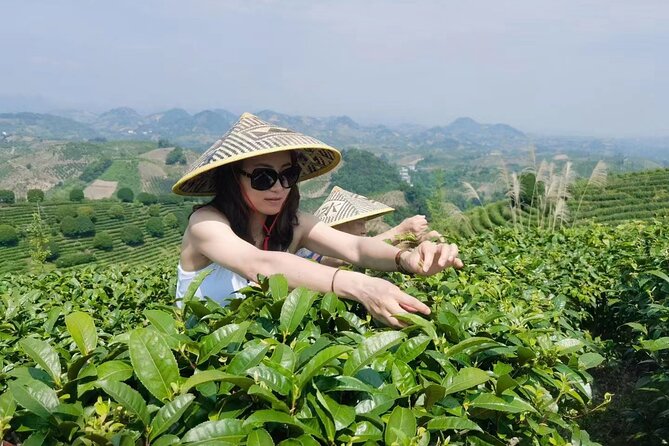 Half-day Tour: Largest Tea Plantation & Amazing Xianggong Hill - Climbing Xianggong Hill for the Li River view
