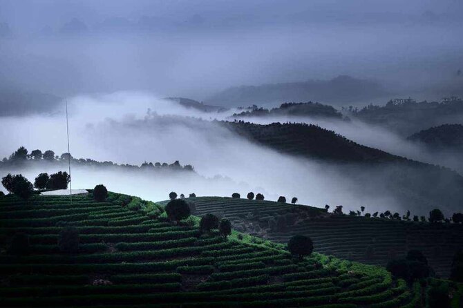 Half-day Tour: Largest Tea Plantation & Amazing Xianggong Hill - Starting from central Yangshuo