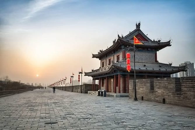 Half Day Tour to Xi'an Wild Panda Breeding and Protecting Center - Louguantai adds an hour of Taoist culture