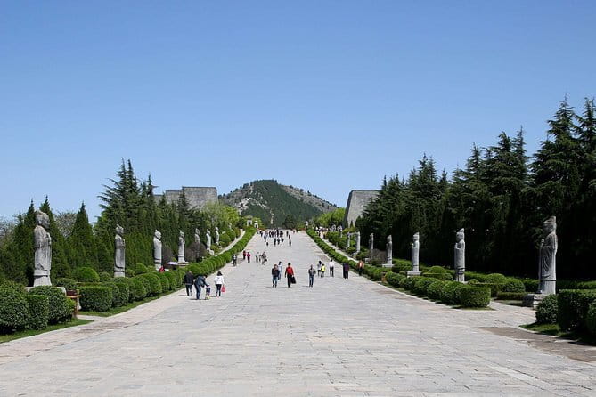 Half Day Tour to Xi'an Wild Panda Breeding and Protecting Center - Lunch and the value of a private day
