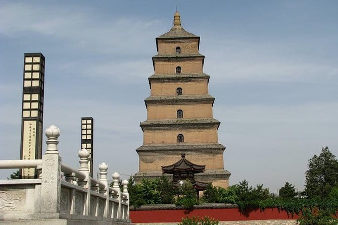 Half Day Tour to Xi'an Wild Panda Breeding and Protecting Center - Who will enjoy this Xi’an panda tour