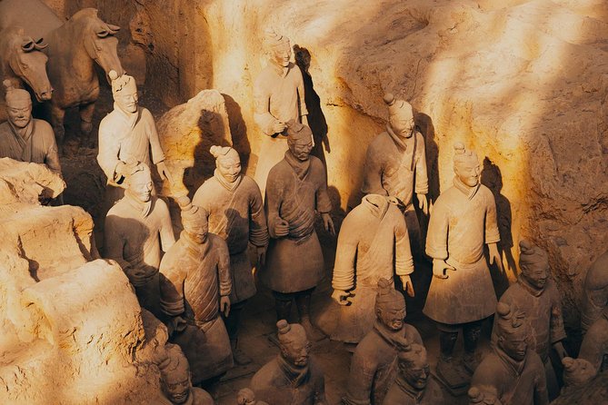 Half Day Xian Private Tour to Terracotta Warriors - Crowds, queues, and the best time to go