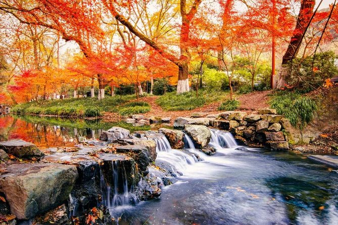 Hangzhou Jiuxi and Hupao Spring Hiking Day Trip from Shanghai by Bullet Train - Why this makes a good day away from Shanghai