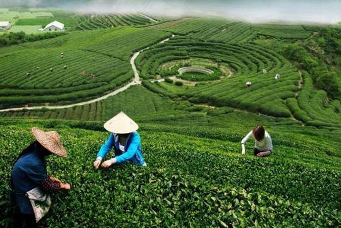 Hangzhou Private Customized Day Trip from Shanghai by Bullet Train - West Lake offers Hangzhou’s famous view
