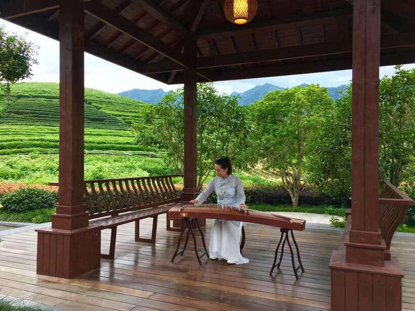 Hangzhou Private Day Trip by Bullet Train from Shanghai - Key points to know before booking