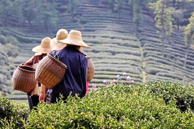 Hangzhou Private Flexible Day Tour with West Lake Boat Cruise - Why this Hangzhou day works so well