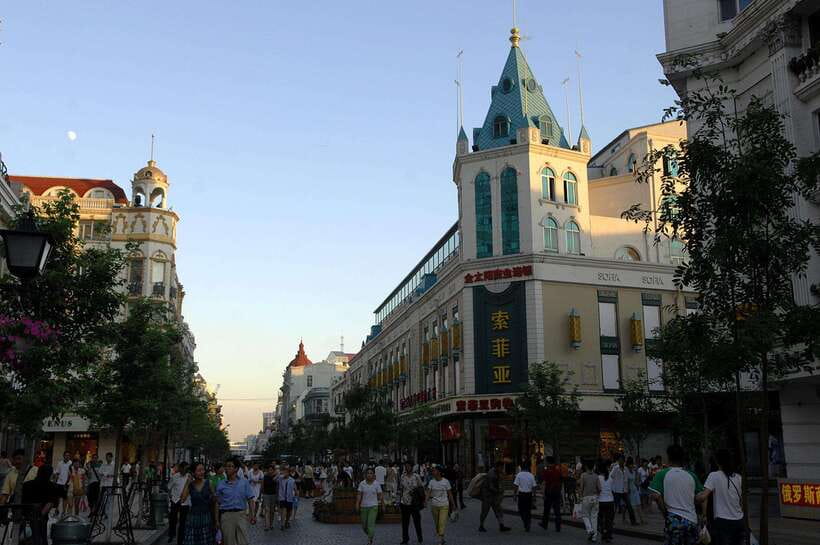Harbin Ice and Snow Fairyland Private Day Tour - Key things to know before booking