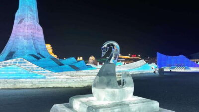 Harbin Ice and Snow Fairyland Private Day Tour