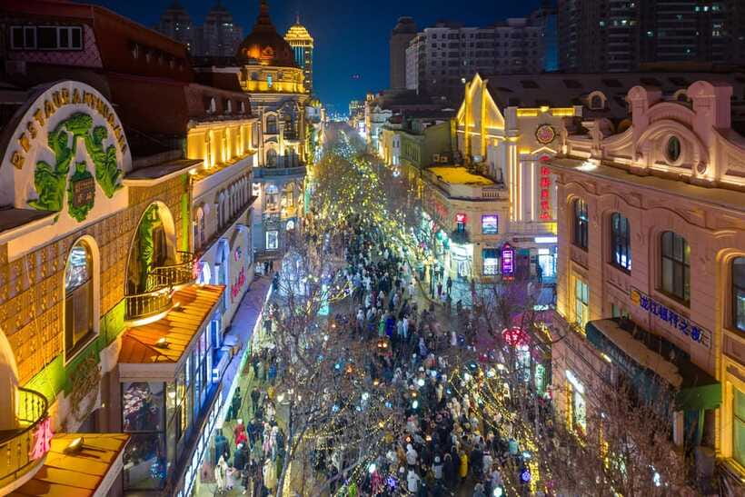 Harbin Ice and Snow Fairyland Private Day Tour - Who should book this experience?