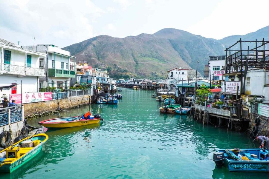 Hong Kong: Dolphin Cruise, Big Buddha & Lantau Island Tour - Looking for dolphins in open water