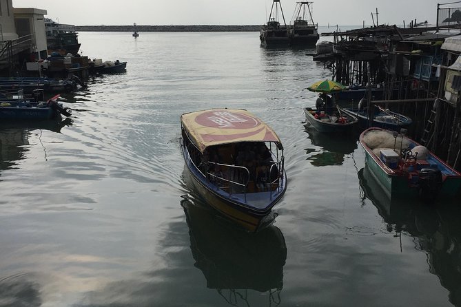 Hong Kong Lantau Tour with Big Buddha, Tai O Village & Snacks - What the price includes at $113.49