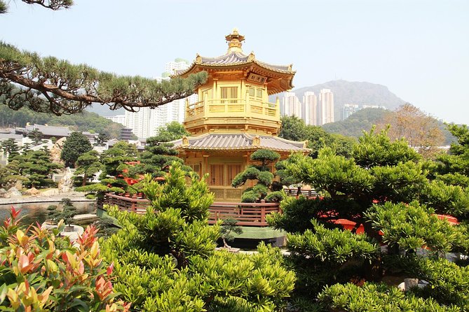 Hong Kong Layover Tour Private & Personalized with Local Guide - Riding the double-decker tram toward Kennedy Town