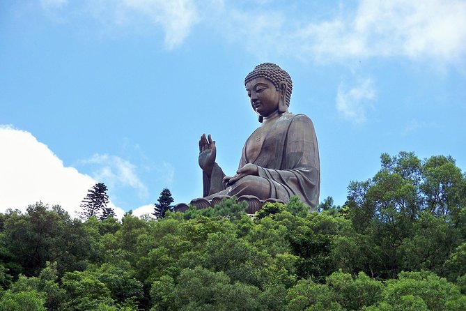 Hong Kong Layover Tour Private & Personalized with Local Guide - What the $357.93 price really buys you