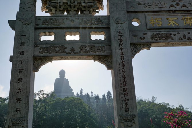 Hong Kong Like a Local: Private & Personalized Experience 2-6 hrs - Big Buddha, Man Mo Temple, and Other Major Sights